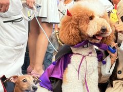 -华谊兄弟（长沙）电影小镇