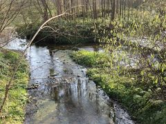 -桤木河湿地公园