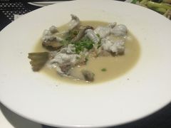 -梧桐餐厅(泉城路店)