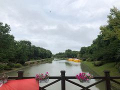 -上海海湾国家森林公园