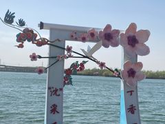-丁香湖公园