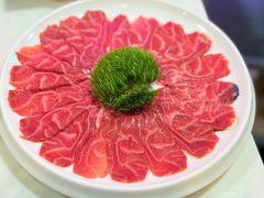 -喜聚薈·花膠雞海鮮火鍋(越秀店)