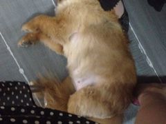 iphone_upload_pic-A+摄影