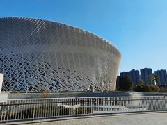 -福州海峡文化艺术中心