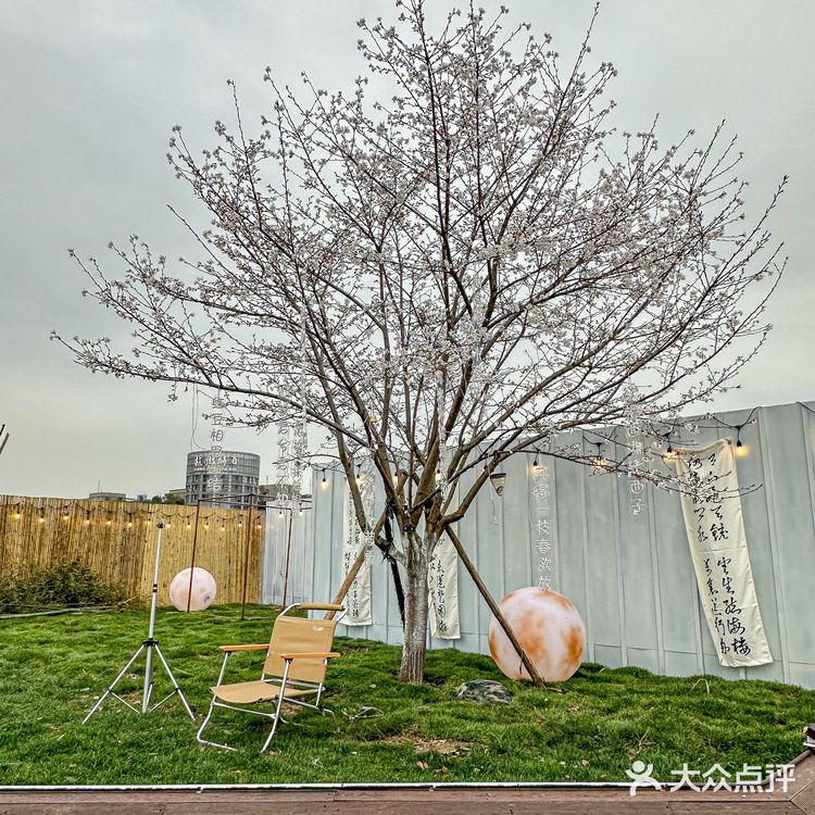 就在杭州西湖边 国风下午茶浪漫住了!