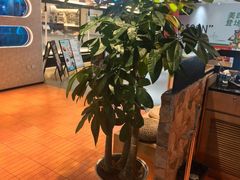 -江边城外烤全鱼(方庄时代购物中心店)