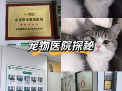 -瑞派新吉太郎宠物医院·重症转诊中心·泌尿道(嘉禾望岗院)