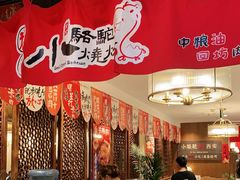 -福苗小骆驼烧烤(曲江店)