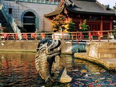 -上海东林寺(金山区)
