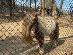 -大连森林动物园