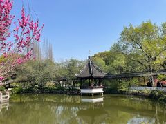 -上海醉白池公园