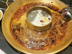 -杨家火锅(国美店)