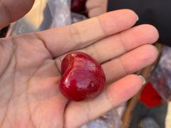 -红星农博物流中心