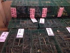 -荔城生鲜盛宴(番禺旗舰店)