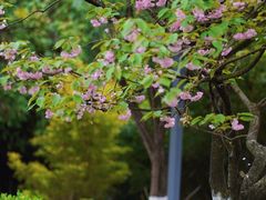 -贵阳市花溪国家城市湿地公园
