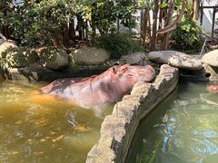 -宁波野生动物园