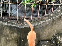 -鸿山公园