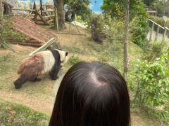 -泉州海丝野生动物世界