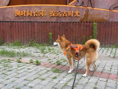 -周口店北京人遗址公园