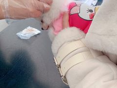 -香河县乐康动物诊所