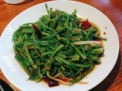 -菌自由丨野生菌火锅特色庭院餐厅(丽江古城店)