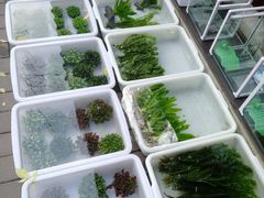 -宝鸡东道花鸟鱼虫市场(吉利花园商场店)
