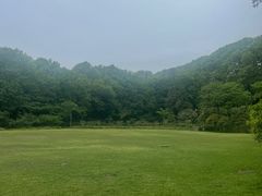 -紫金山山顶公园