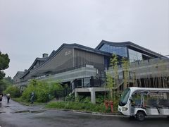 -鲁镇