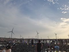 -长江澳风力发电景观区