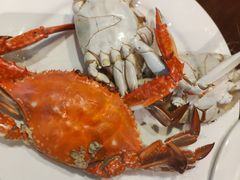 -大连金石滩绿发温泉假日酒店