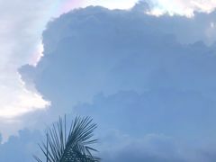 -金水门银河酒楼(新埠岛店)