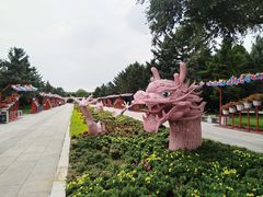 -北陵公园