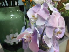 -拾花记花艺·求婚·订婚·生日布置(高新店)