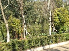 -洛龙公园