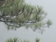 -大明山自然探索公园