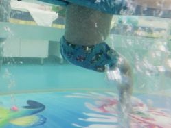 -唯丽莎婴儿游泳小儿推拿馆(清凉门大街店)