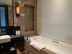 -河源万绿湖美思威尔顿酒店