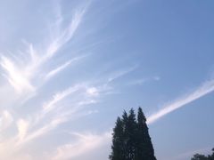 -棒棰岛宾馆景区