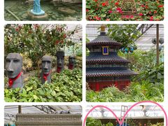 -南宫五洲植物乐园