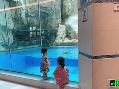 -帝企鹅自助餐厅•儿童岛•真企鹅(长隆企鹅酒店)