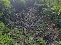 -神农架景区