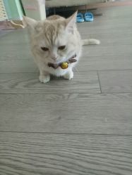 -齐伽生活馆·瑜伽·普拉提·阿育吠陀