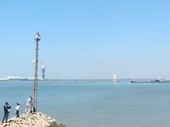-上海滨江森林公园