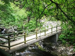 -少华山国家森林公园