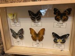 -zoonana室内动物园(东方福来德店)