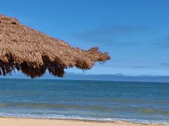 -日照海滨国家森林公园