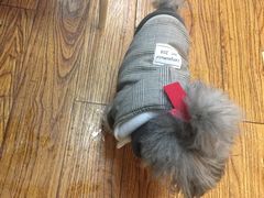 -志龙皇冠吃货椰子铺