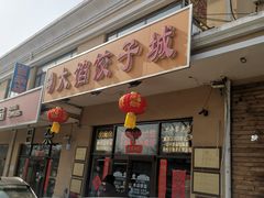 -小叶大馅饺子城