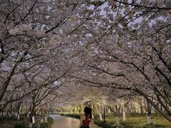 -The BREW·酿餐厅(浦东嘉里大酒店)