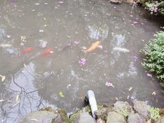-杭州黄龙洞
